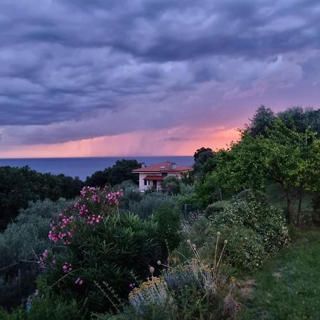 Piccola California Bed & Breakfast Múggia Eksteriør bilde