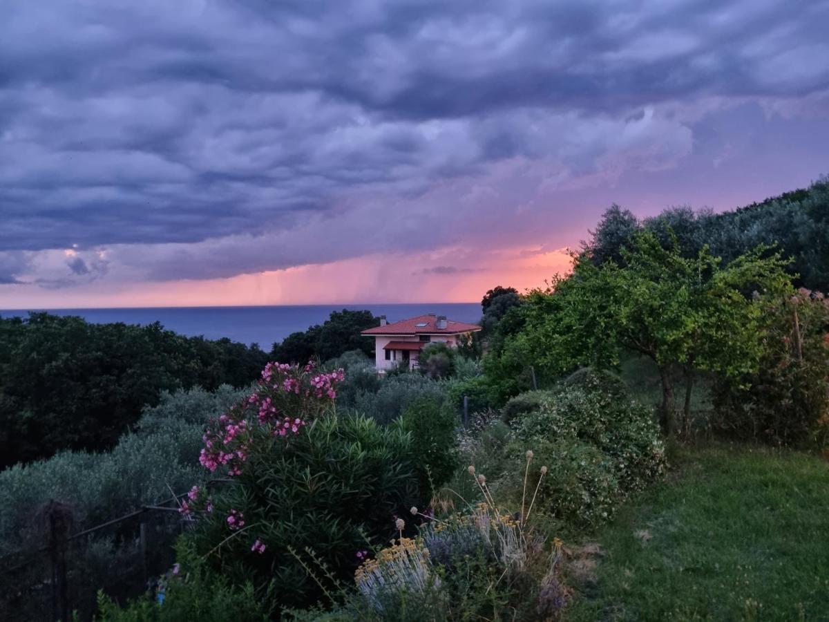 Piccola California Bed & Breakfast Múggia Eksteriør bilde